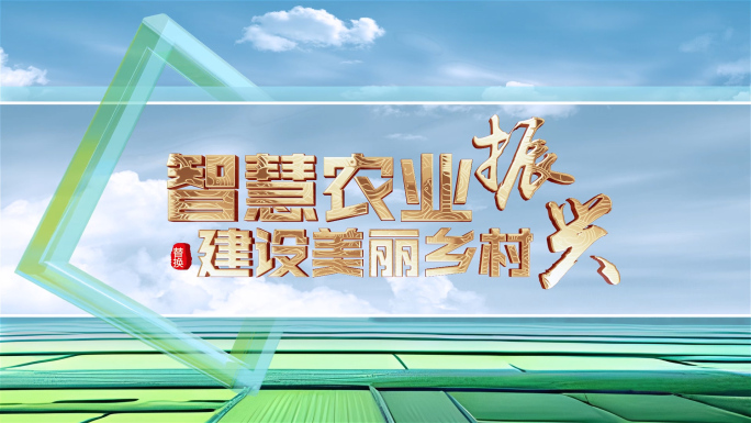 乡村振兴金字片头