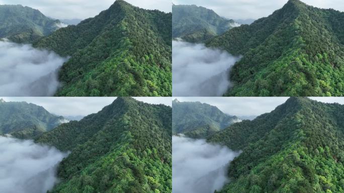 秦岭 终南山 南五台 云海 航拍