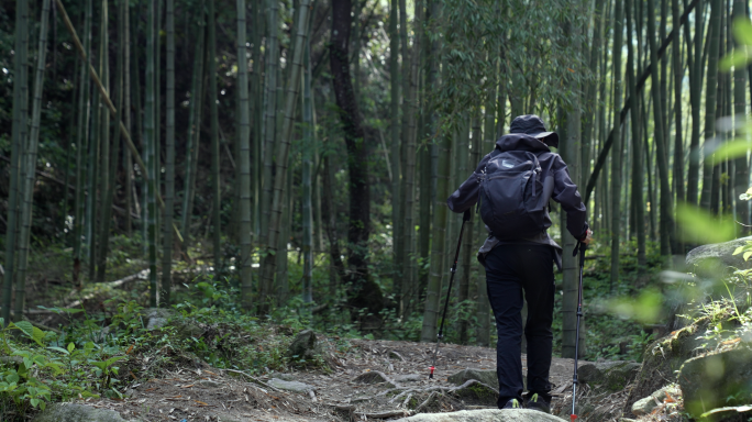 竹林徒步登山大自然探险4k