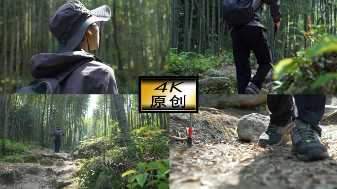 竹林徒步登山大自然探险4k