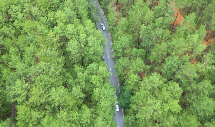 航拍汽车行驶在林间公路上森林穿梭能源汽车