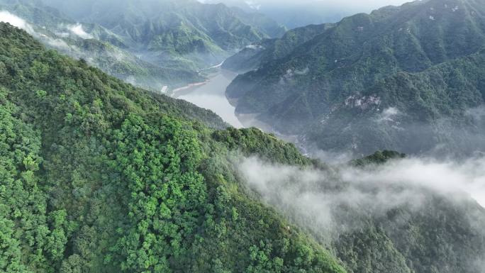 秦岭 生态 西安 南五台 终南山