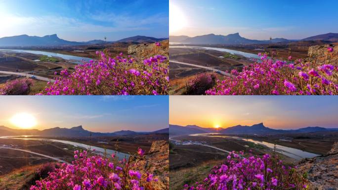 映山红 太子河 晚霞 杜鹃花 踏春