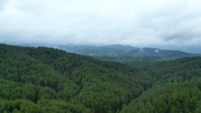 航拍森林绿植大山树林覆盖植树造林树木林场