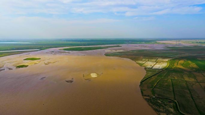 黄河平原滩地河道湿地生态治理