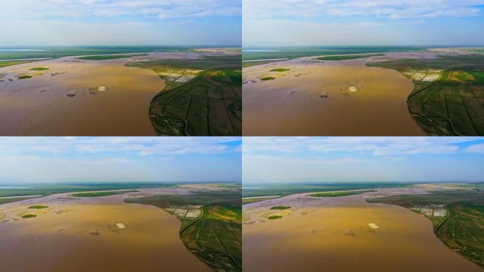 黄河平原滩地河道湿地生态治理