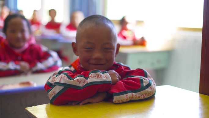 羞涩的小学生 在学校对镜头微笑 幸福