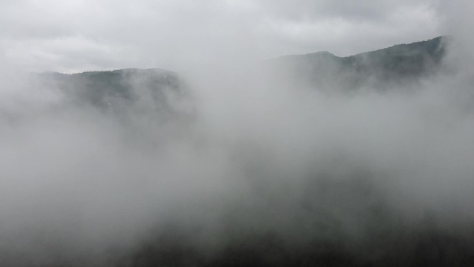 雾流雾气山雾云雾旅游