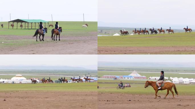 4K草原马场马骏马骑马