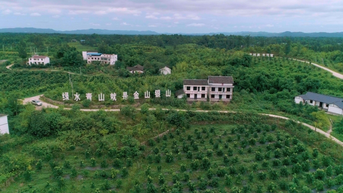 4k 农业种植基地 乡村振兴