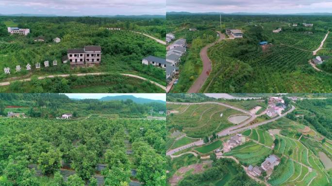 4k 农业种植基地 乡村振兴