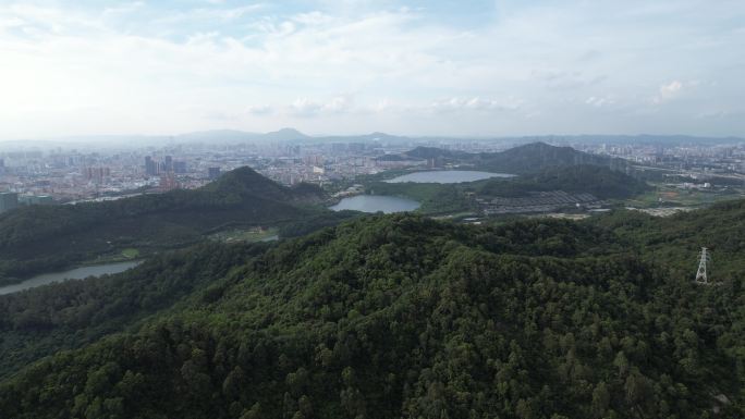 深圳宝安凤凰山森林公园
