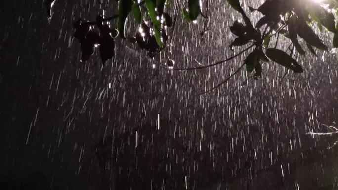 下雨水雨丝雨点晚上暴雨雨中的声音深夜下雨