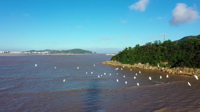 实拍视频中国风光 天空 大海飞鸟