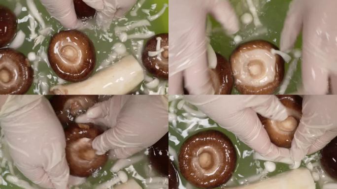 贝壳粉清洗各种蘑菇 (3)