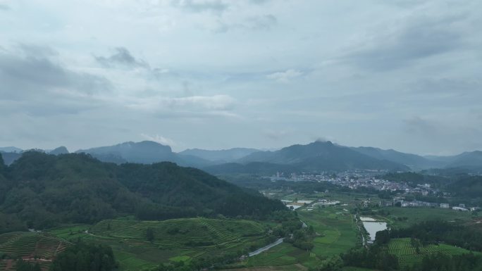 航拍福建南平市武夷山景区茶