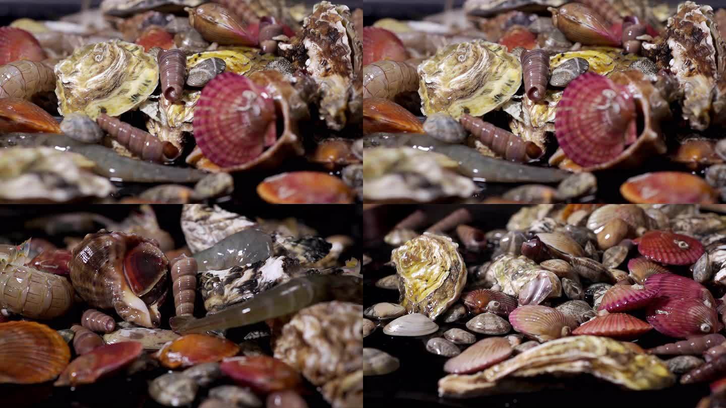 海鲜升格海螺虾海蛎子虾虎