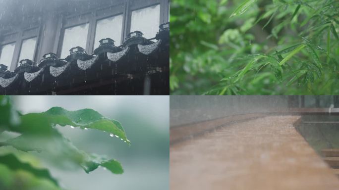 下雨唯美清新空镜雨景4k视频素材