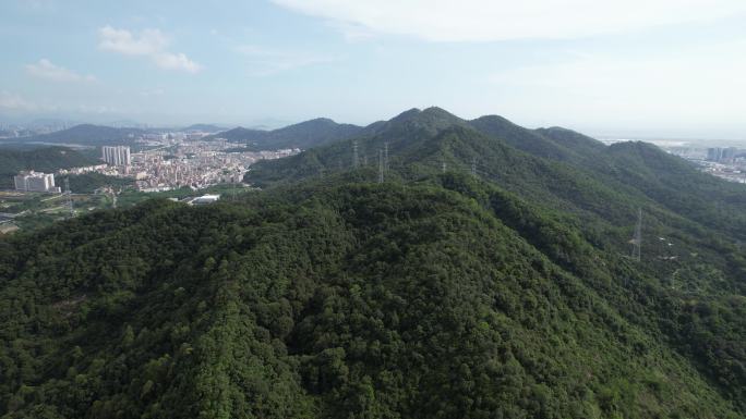 深圳宝安凤凰山森林公园