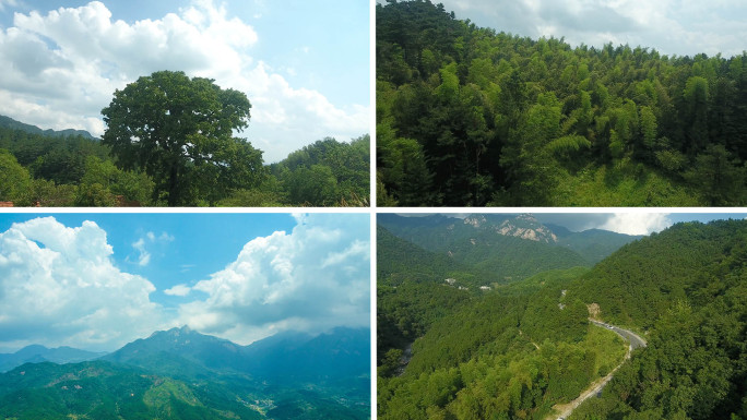 林场 笔架山 青苔关 圣人堂 山间行车