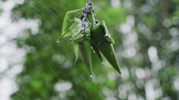 端午节粽子小雨端午民俗端阳吃粽子端午素材