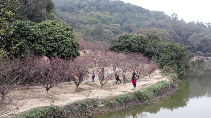 古建筑 房屋建筑 历史文化