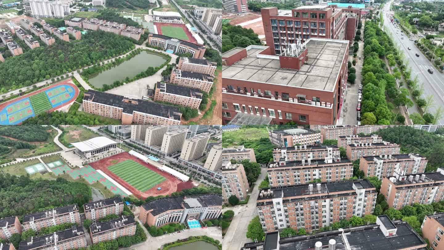 中南林业科技大学涉外学院