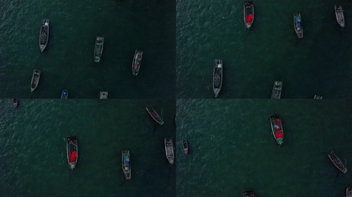 山东威海渔船停泊码头4K航拍