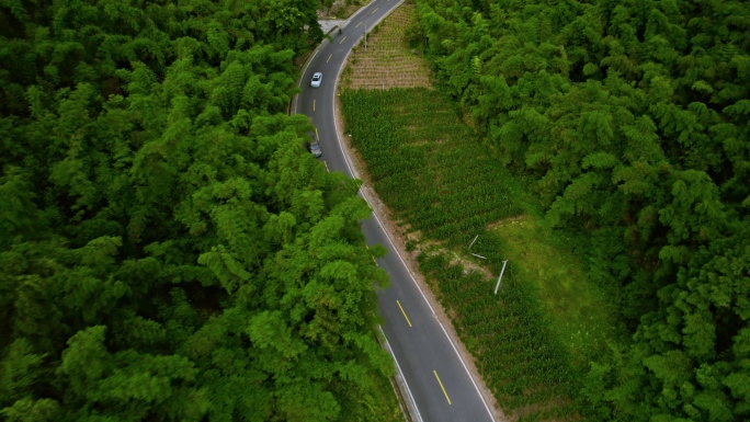 道火路邛崃市