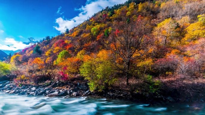 茂县·松坪沟