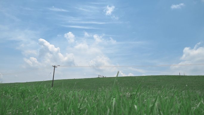 草地，蓝天白云