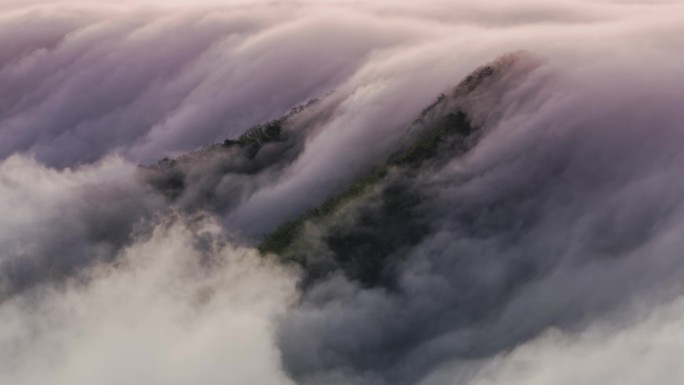 云海延时摄影大自然延时雨后大自然森林云雾
