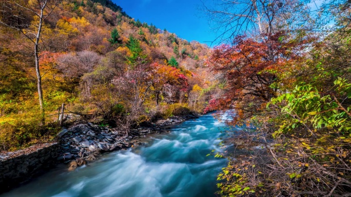 茂县·松坪沟