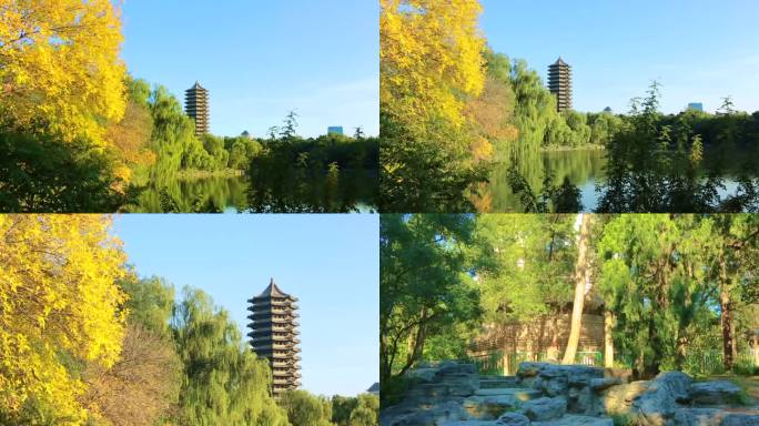 校园风景 著名建筑 绿水青山