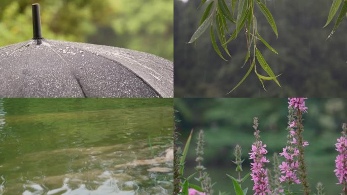 下雨水滴植物水流淌