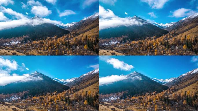 黑水·雅克夏雪山