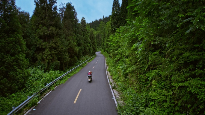 摩托车行驶在林道上