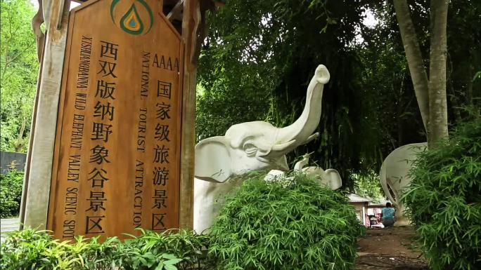 野生生物 生态保护 户外活动