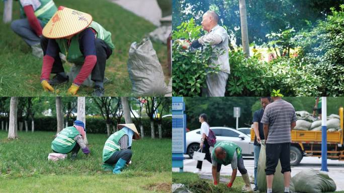 (合辑)蜀山园林管养工人除草修剪