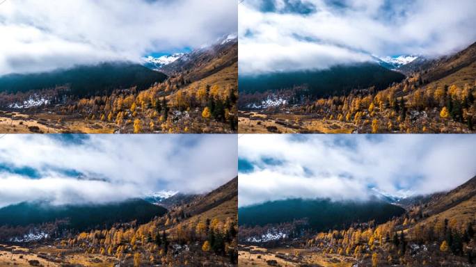 黑水·雅克夏雪山