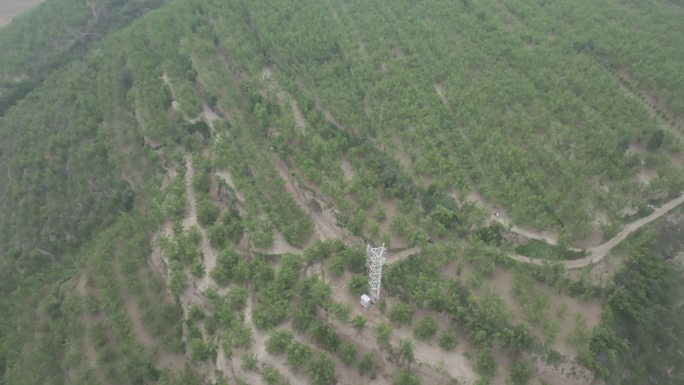 绿水青山乡村振兴万亩果园万亩枣树林航拍