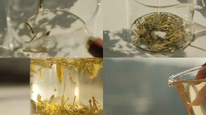 特级西湖龙井 泡茶过程展示