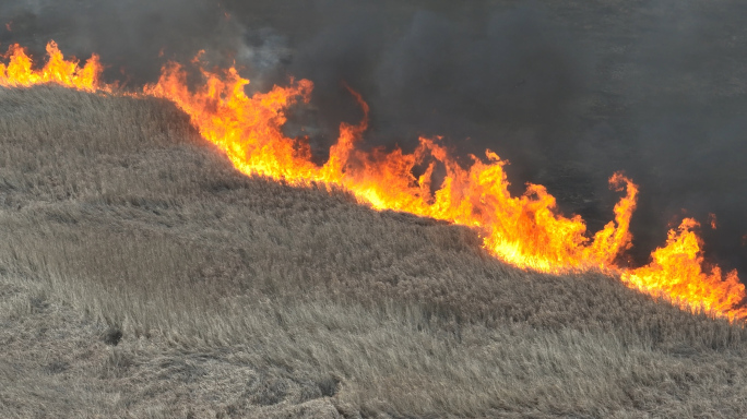 草原烧毁火灾平原着火干草着火