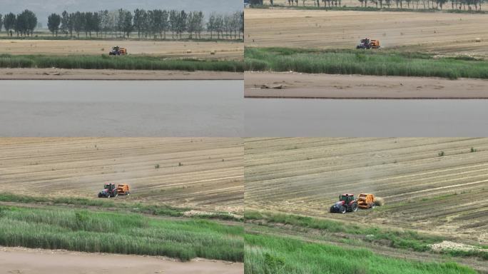 黄河滩万亩小麦收割丰收航拍