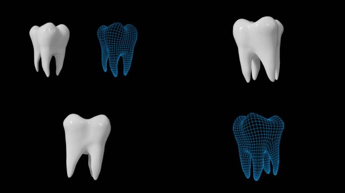 两款三维牙齿视频素材带通道