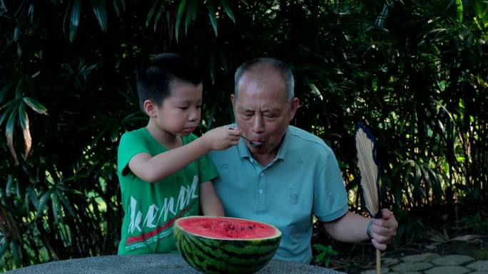 炎热夏天树下乘凉 老爷爷和孙子一起吃西瓜