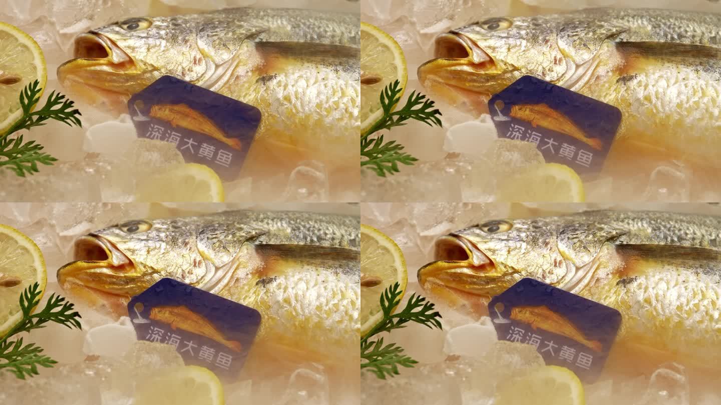 黄鱼-黄花鱼-大黄鱼-冰鲜黄花鱼
