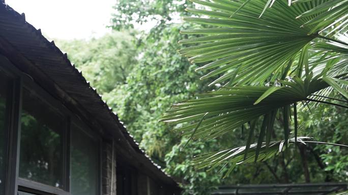 下雨屋檐滴落唯美镜头