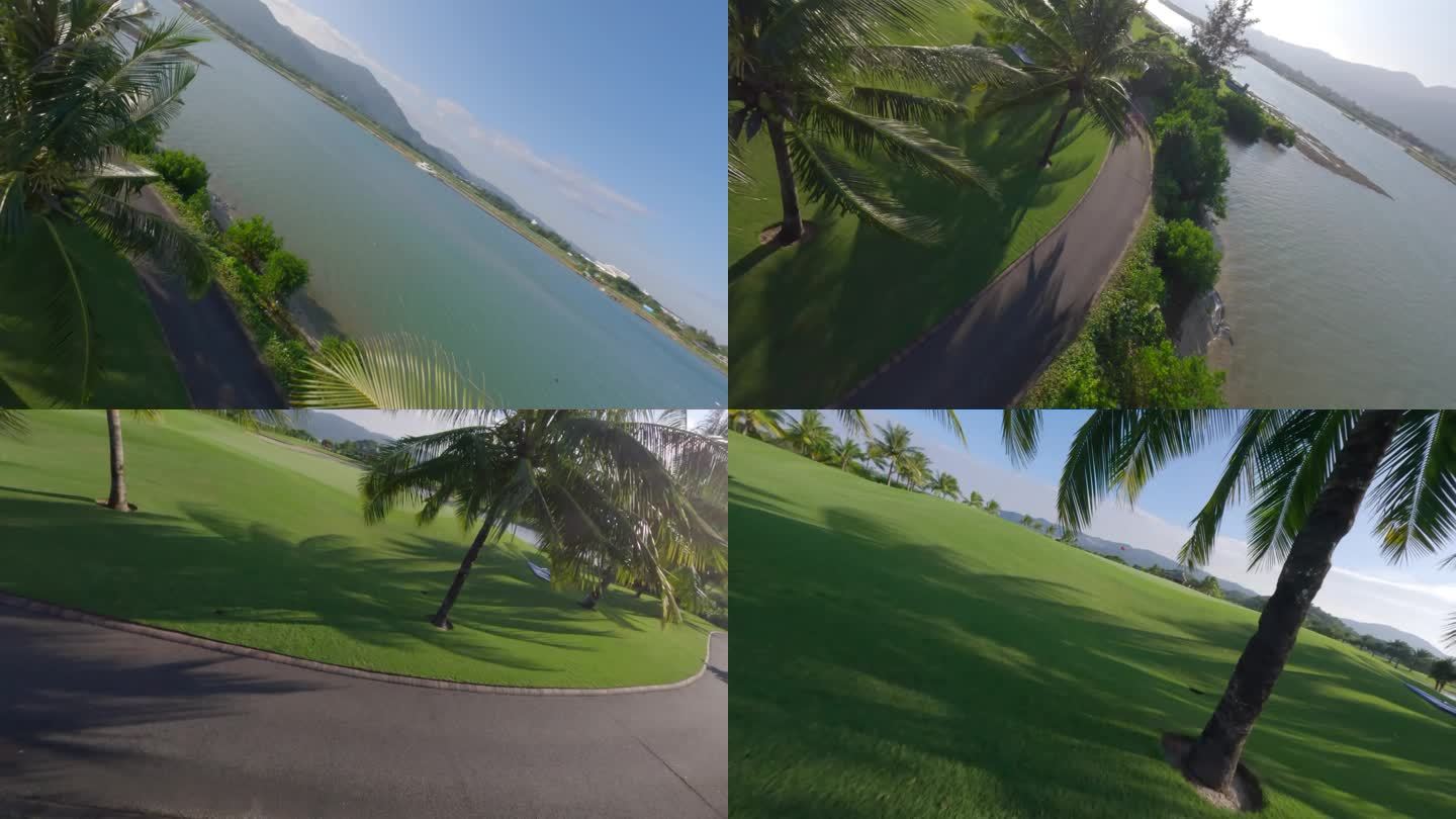 穿越机 高尔夫 草坪 椰子树