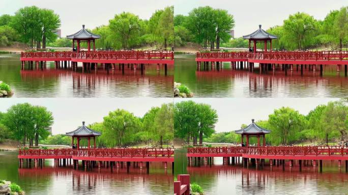 北京圆明园内木桥皇家园林遗址公园造林艺术